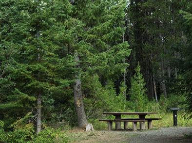 Camper submitted image from Cold Springs Campground - Payette Nf (ID) - 5