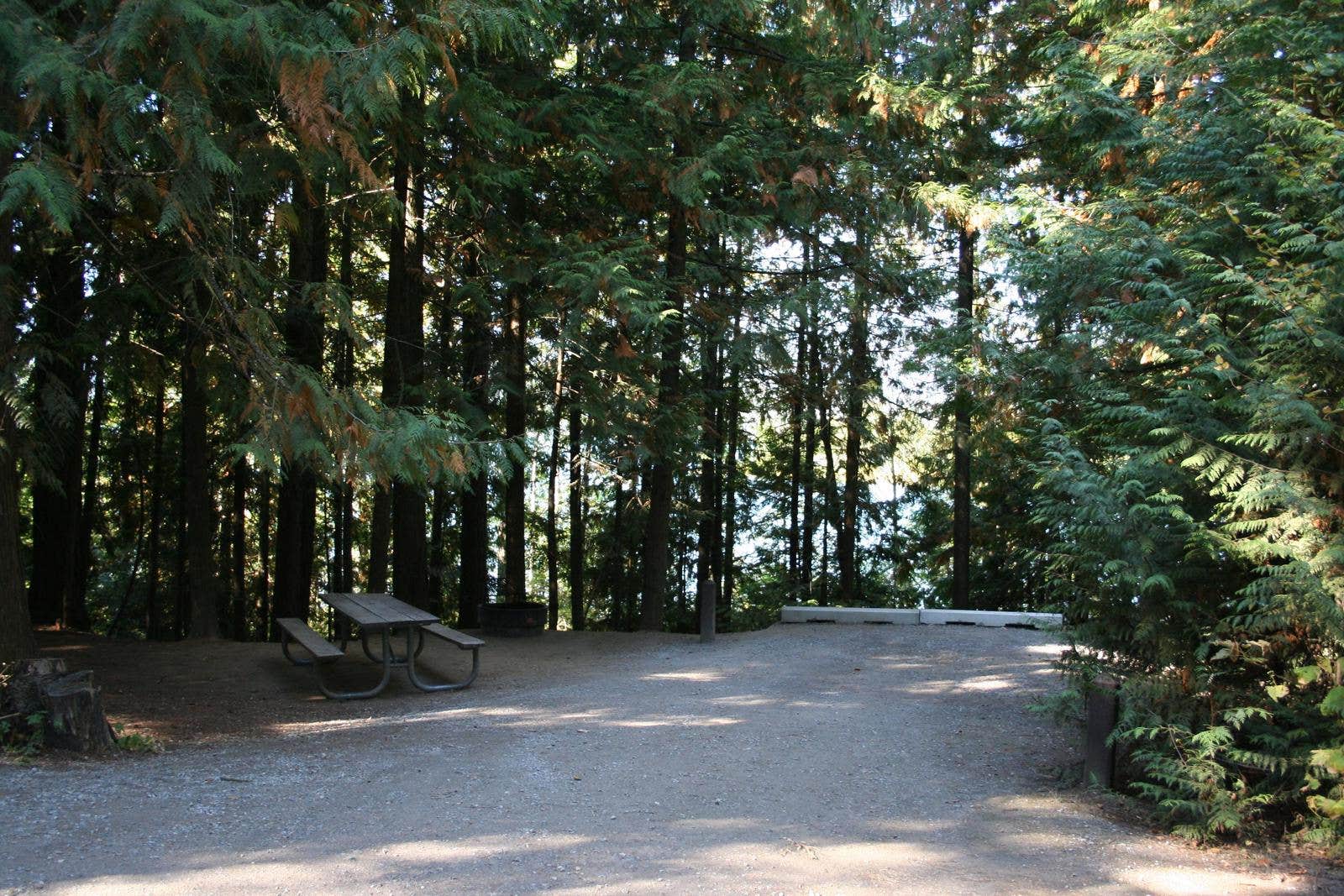 SP Campsite



Typical campsite at Springy Point.

Credit: