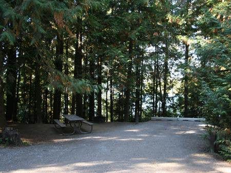 Camper submitted image from Springy Point - 4