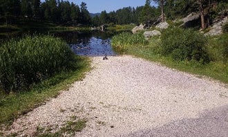 Camping near Center Lake Campground — Custer State Park: Bismarck Lake Campground, Custer, South Dakota