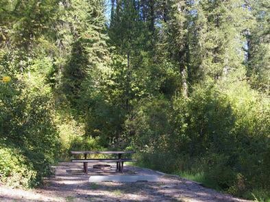 Camper submitted image from Targhee National Forest Calamity Campground - 3