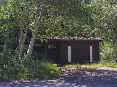 Camper submitted image from Lower Penstemon - 5