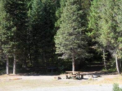 Camper submitted image from Peace Valley Campground - 2