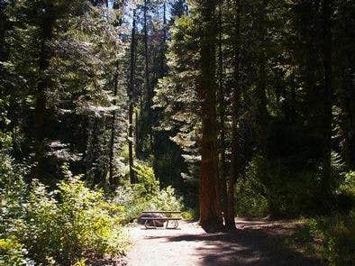 Camper submitted image from Cold Springs Campground - Boise Nf (ID) - 2