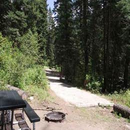 Public Campgrounds: Cold Springs Campground - Boise Nf (ID)