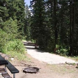 Public Campgrounds: Cold Springs Campground - Boise Nf (ID)