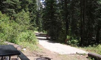 Cold Springs Campground - Boise Nf (ID)