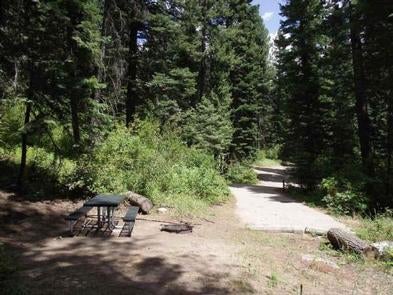 Camper submitted image from Cold Springs Campground - Boise Nf (ID) - 5