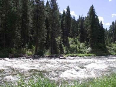 Camper submitted image from Cold Springs Campground - Boise Nf (ID) - 4