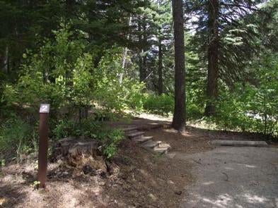 Camper submitted image from Cold Springs Campground - Boise Nf (ID) - 3