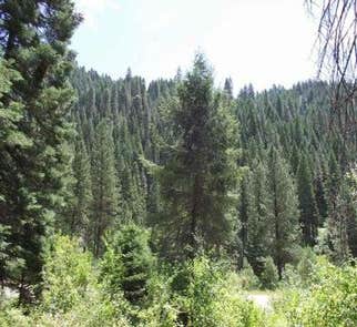 Camper-submitted photo from Cold Springs Campground - Boise Nf (ID)
