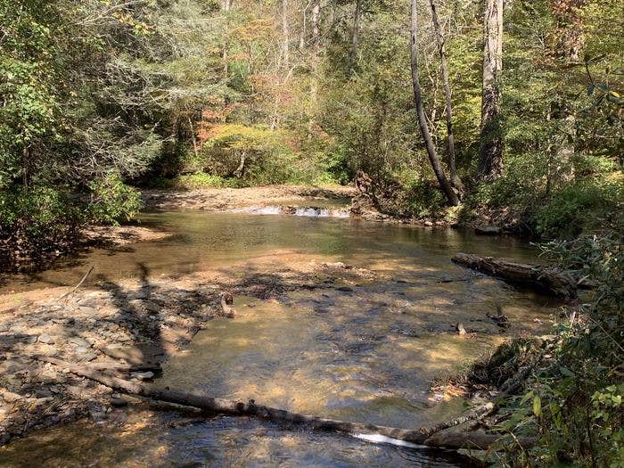 Camper submitted image from Mulky Campground - 1