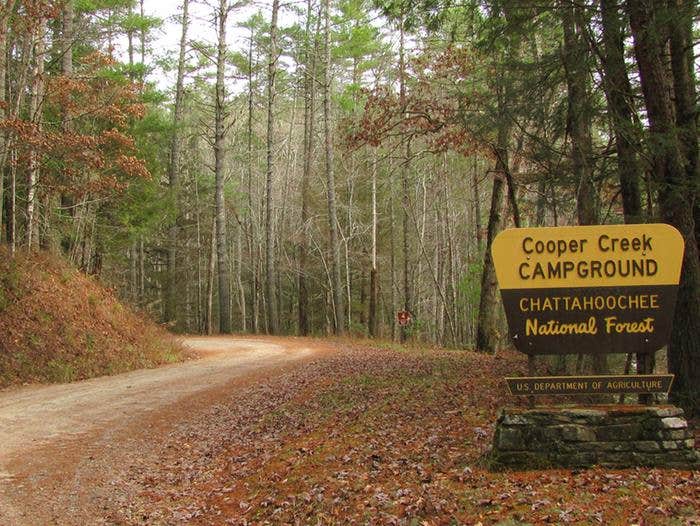 Camper submitted image from Mulky Campground - 4
