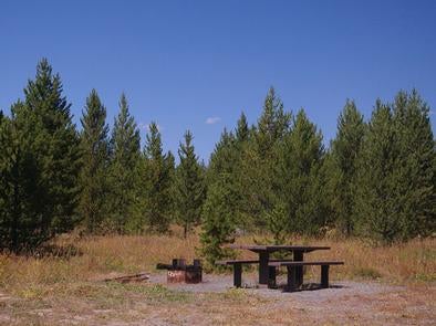 Camper submitted image from Targhee National Forest Buttermilk Campground - 1