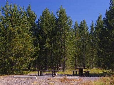 Camper submitted image from Targhee National Forest Buttermilk Campground - 3