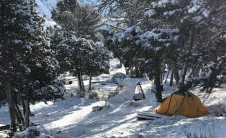 The Dyrt's photo at Mammoth Campground — Yellowstone National Park near Yellowstone National Park