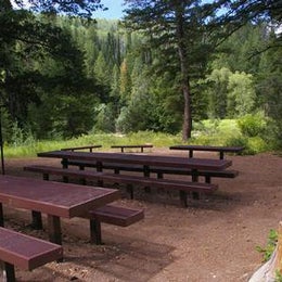 Public Campgrounds: Willow Flat Campground
