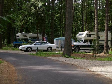 Camper submitted image from Riley Creek Campground - 4