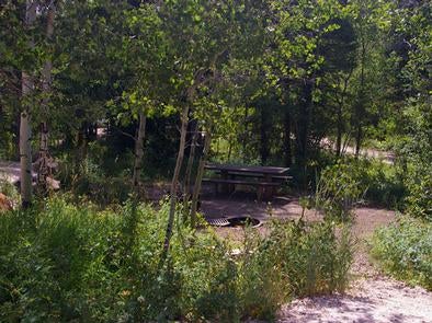 Camper submitted image from Paris Springs Campground - 4