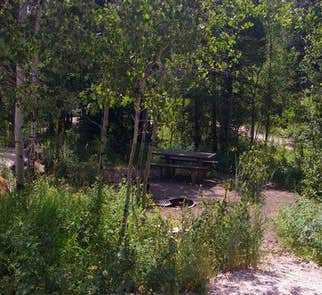Camper-submitted photo from Paris Springs Campground