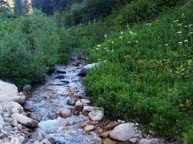 Camper submitted image from Hayfork Group Campground - 5
