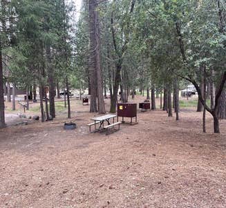 Camper-submitted photo from Coldwater Campground