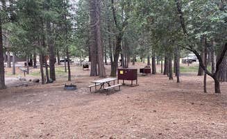 The Dyrt's photo at Wawona Campground — Yosemite National Park near Mariposa, CA