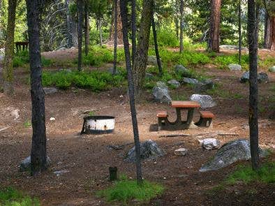 picnic areas dash point state park