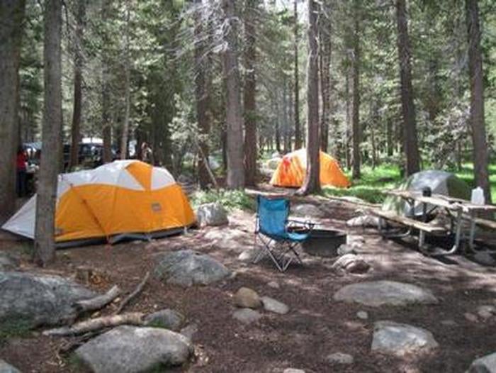 Camper submitted image from Tuolumne Meadows Campground — Yosemite National Park - 2