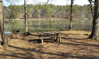 Camping near Lonesome D Horse Camp RV Park: Spring Lake, Havana, Arkansas