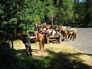 Escape to Idaho's Wilderness Gateway: A Campground Adventure Awaits!