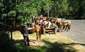 The Dyrt's photo of camping with a horse at Wilderness Gateway near Nez Perce-Clearwater National Forests