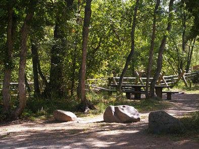 Camper submitted image from Albert Moser - 5