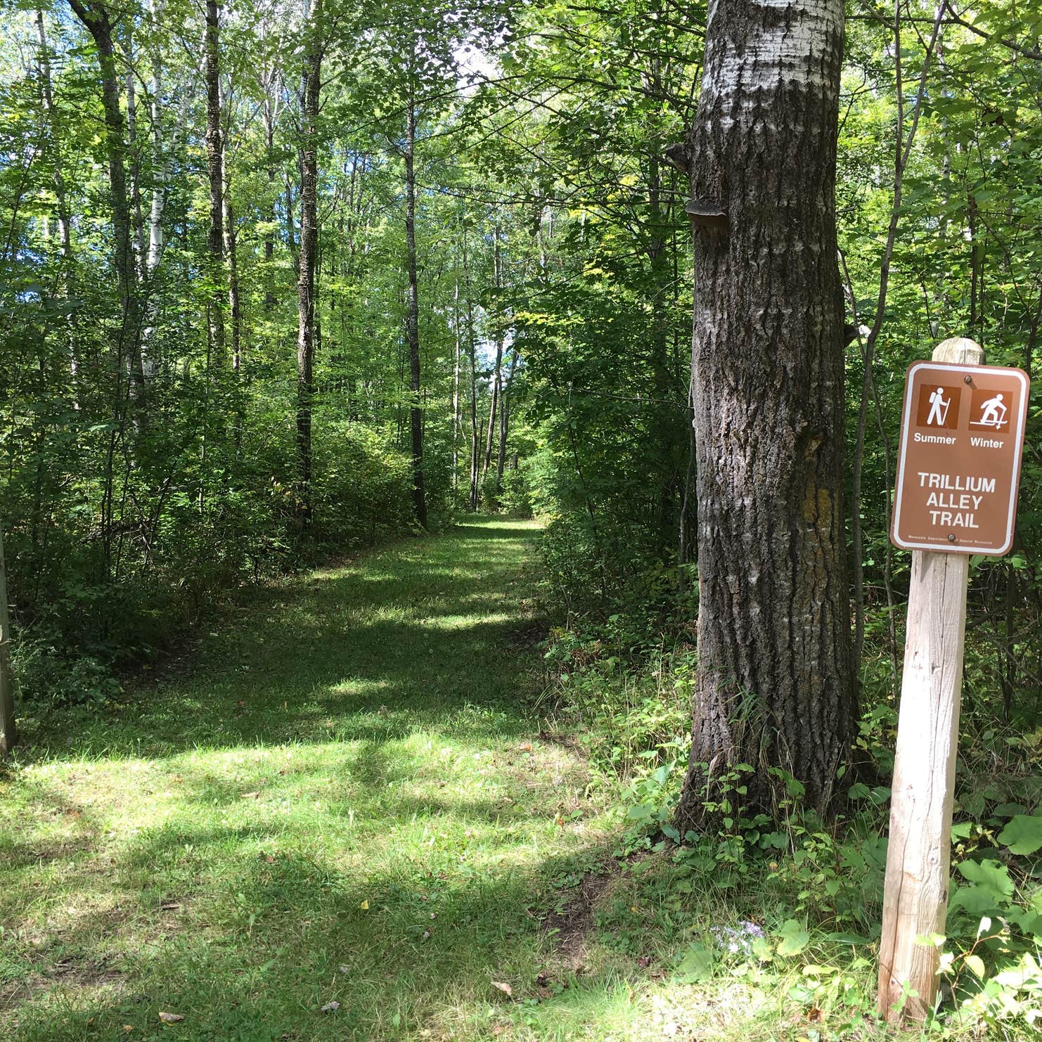 Banning State Park Camping The Dyrt