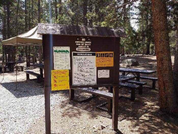 Camper submitted image from Printer Boy Group Campground - 4