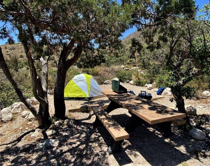 Camper submitted image from Pine Springs Campground — Guadalupe Mountains National Park - 2