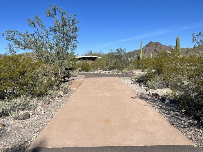 Camper submitted image from Twin Peaks Campground — Organ Pipe Cactus National Monument - 2