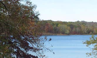 Camping near Pikes Ridge - Green River Lake: COE Green River Lake Smith Ridge, Campbellsville, Kentucky