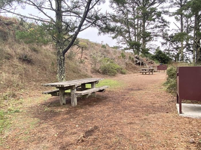 Camper submitted image from Hawk Campground — Golden Gate National Recreation Area - 2