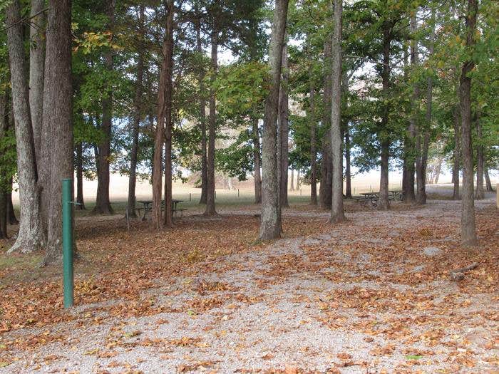 Camper-submitted photo at COE Green River Lake Smith Ridge near Stanford, KY