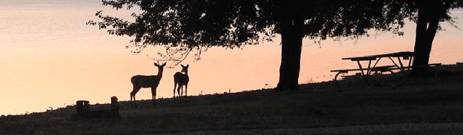 Camper-submitted photo at Arrow Rock near Neosho Rapids, KS