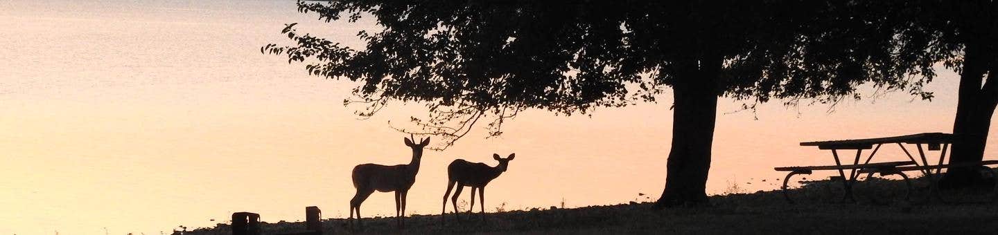 Camper-submitted photo at Arrow Rock near Neosho Rapids, KS