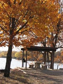Camper submitted image from Canning Creek - 3