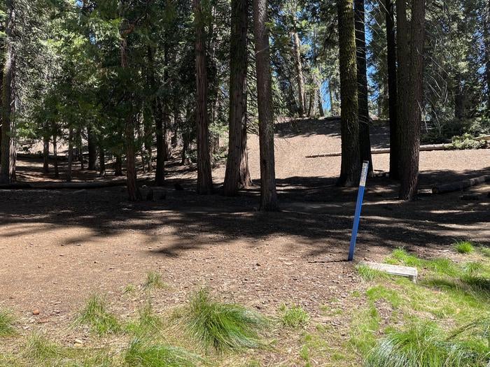Camper submitted image from Crystal Springs Campground — Kings Canyon National Park - 2