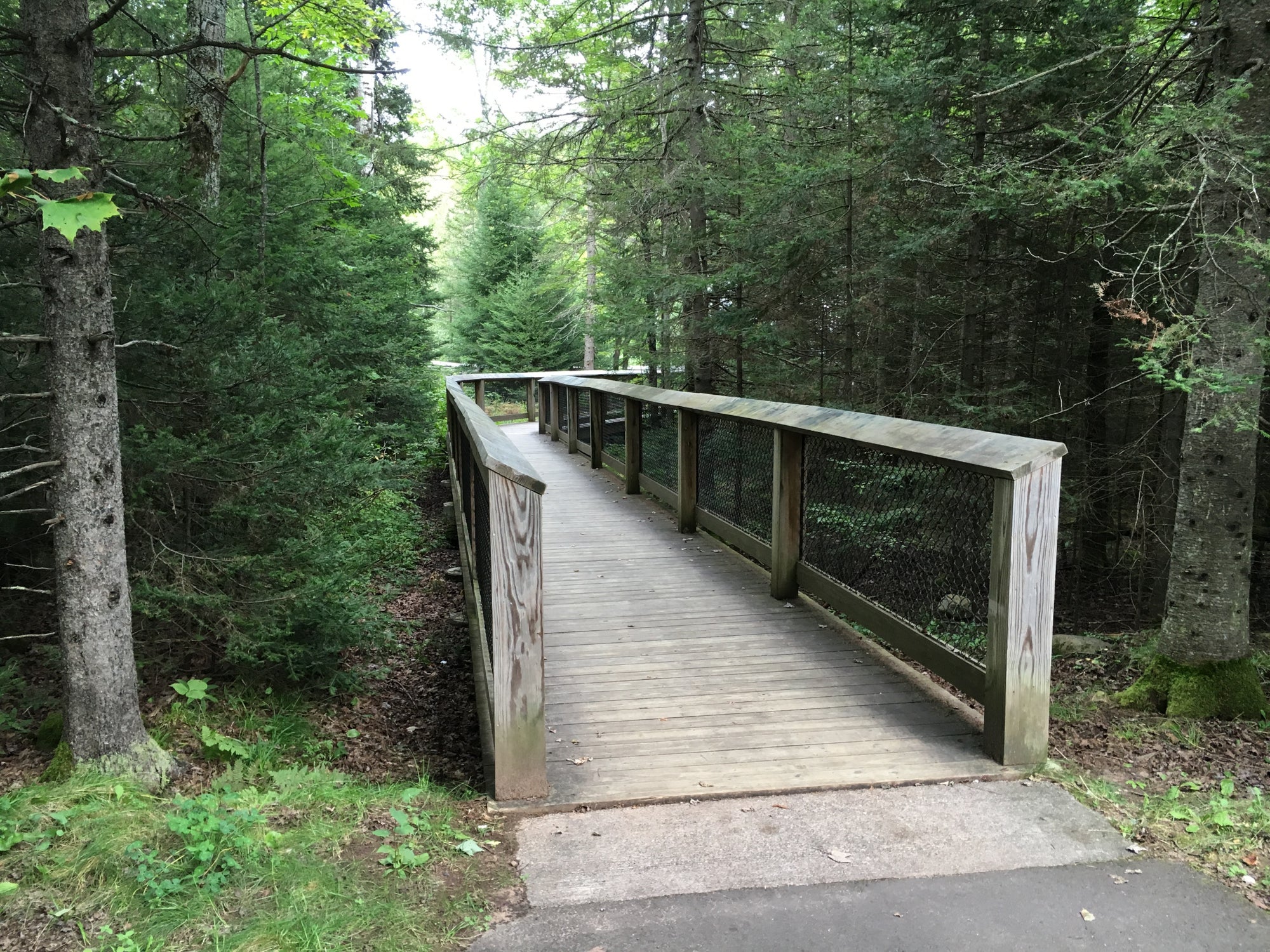 bond falls hiking bridge