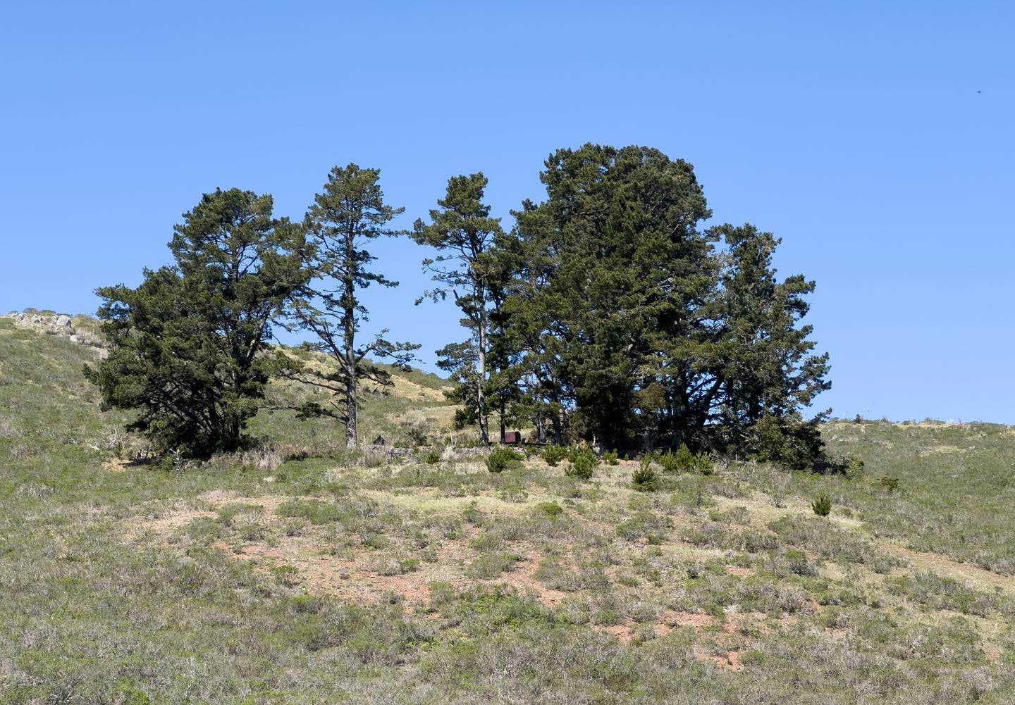 Camper submitted image from Hawk Campground — Golden Gate National Recreation Area - 2