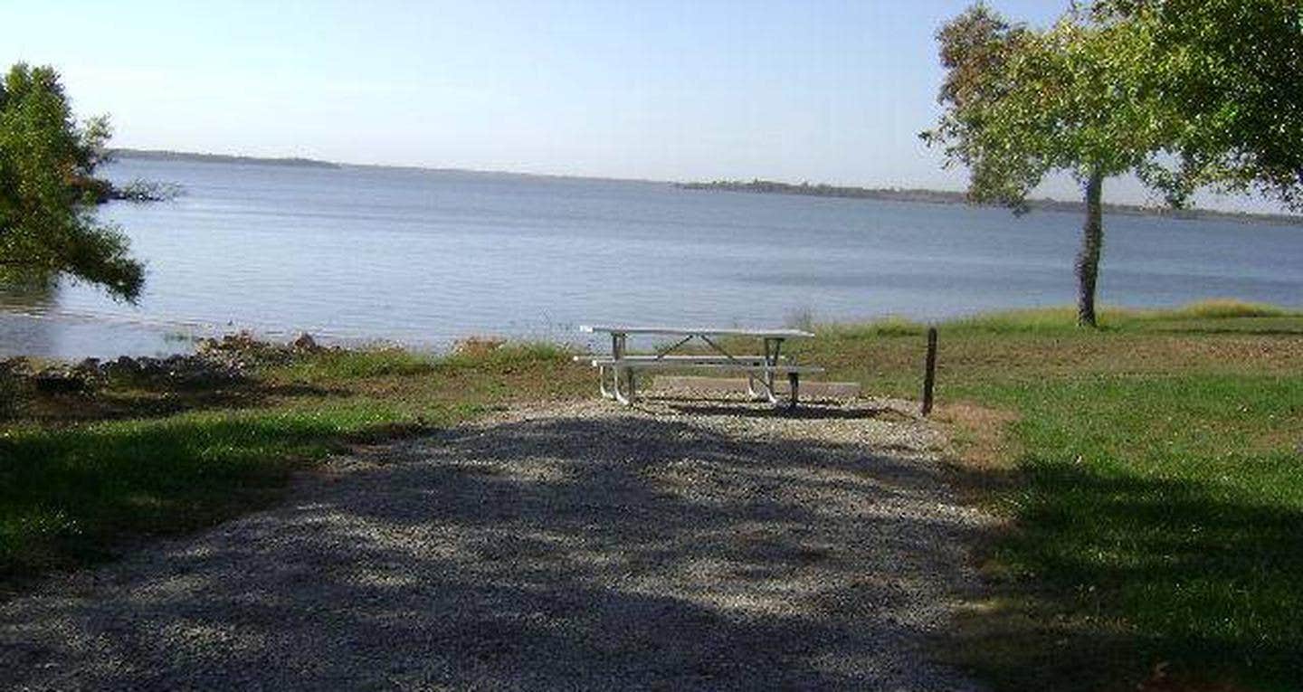 View All