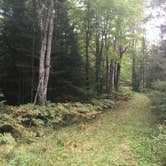 Review photo of Bond Falls Campground by Matt S., September 12, 2016