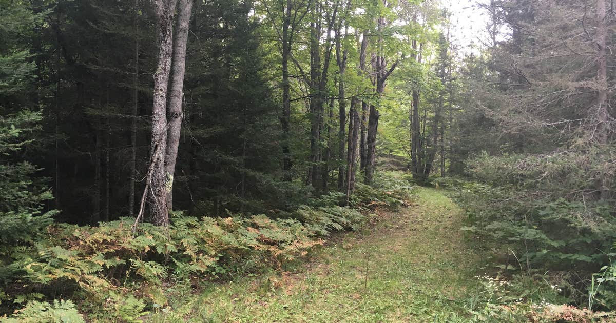 Bond Falls Campground