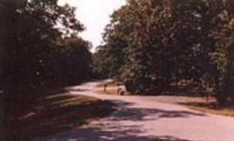 Camping near Timber Road Campground — Elk City State Park: Big Hill Lake Mound Valley Recreation Area, Cherryvale, Kansas